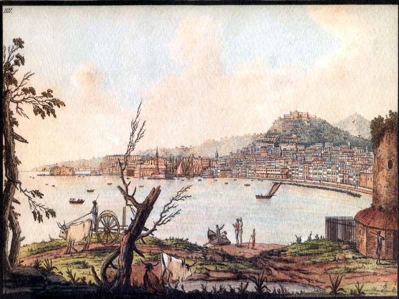 Pietro Fabris - Vista di Napoli dal lato del mare